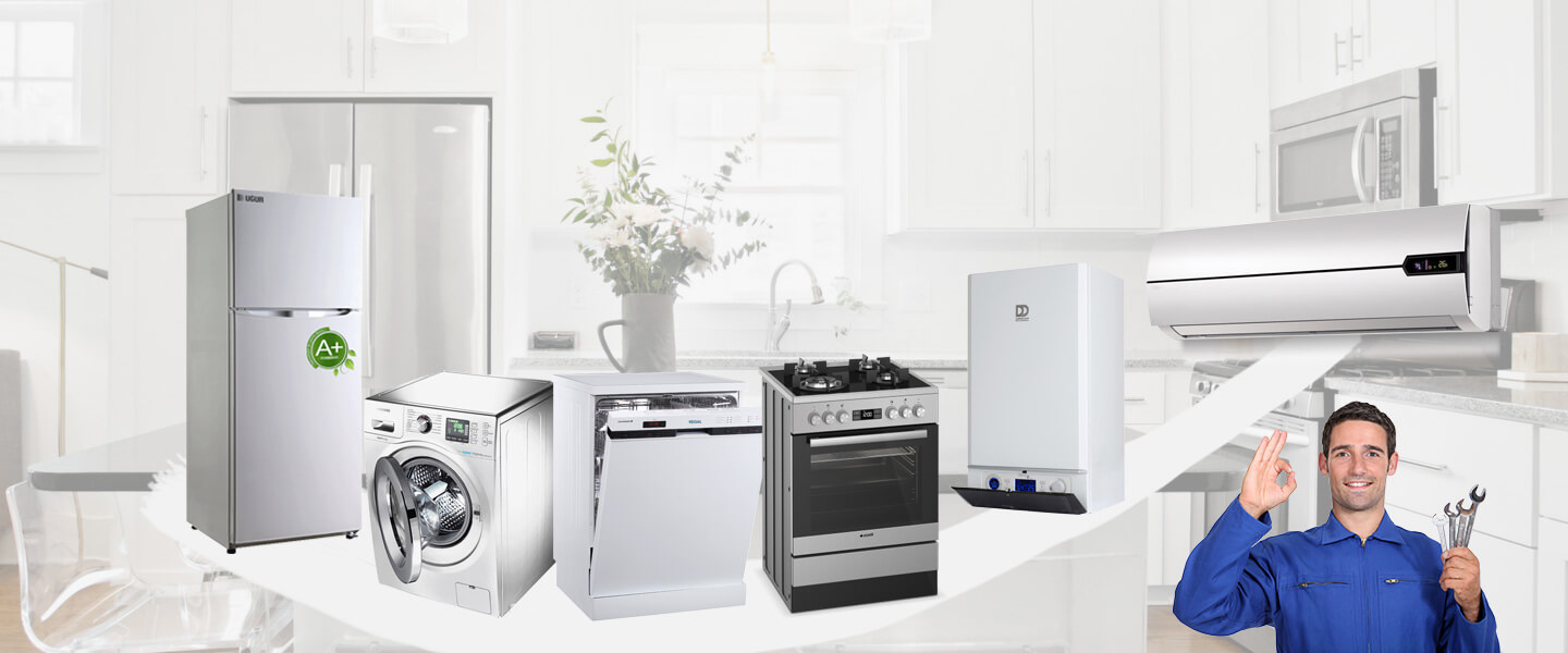 Şereflikoçhisar Electrolux Servisi